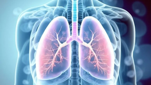 Yapay akciğer teknolojisi nakil sürecinde umut verdi